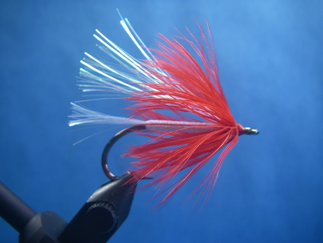 Salmon Flash - Red & White - Click Image to Close